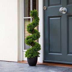 Artificial Boxwood Topiary Twirl