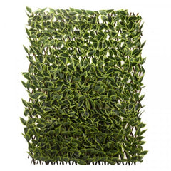 Hosta Leaf Willow Trellis Screening