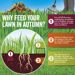 Aftercut All In One Autumn Box 80m2