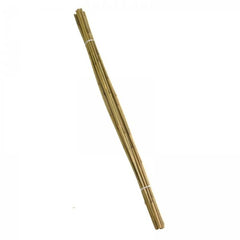 Bamboo Canes