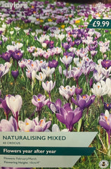 CROCUS NATURALISING MIXED