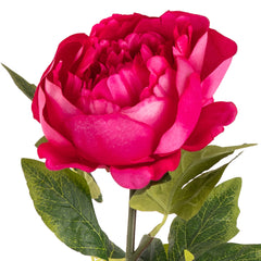 Eleganza Aurora Peony Fuchsia Pink