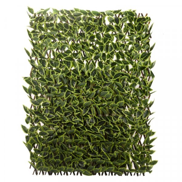 Hosta Leaf Willow Trellis Screening