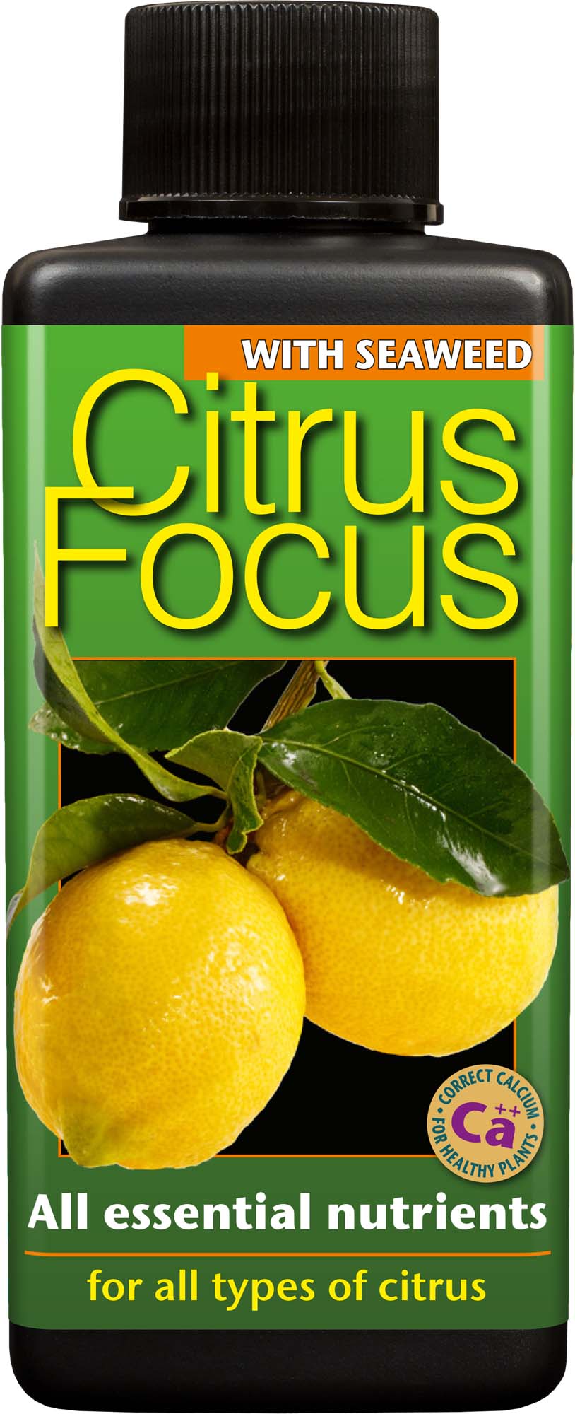 Citrus Focus 300ml