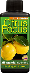 Citrus Focus 300ml