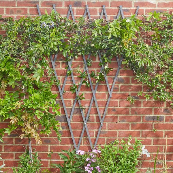 Expanding Fan Trellis - Tan 1.75 x 0.9m