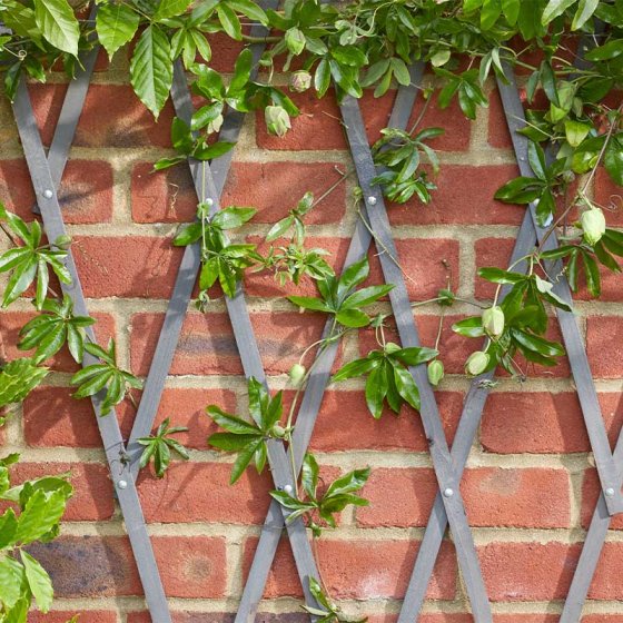 HD Exp Trellis - Slate 1.8 x 0.3m