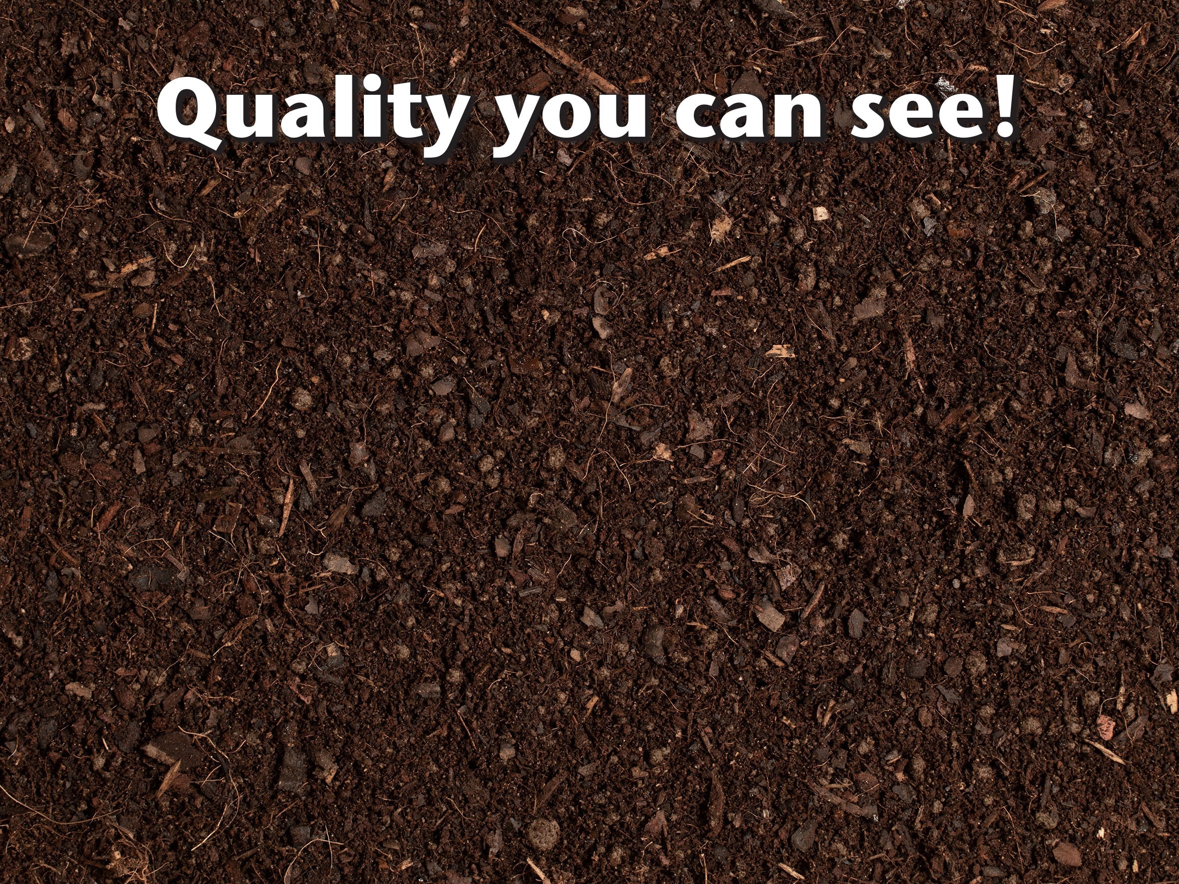 Houseplant Focus Repotting Mix Peat Free 3L
