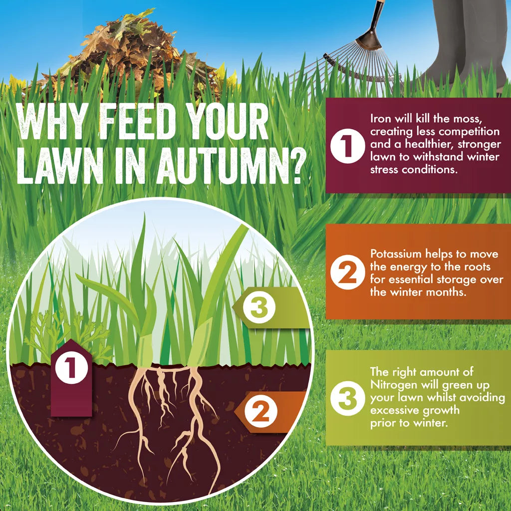 Aftercut All In One Autumn Box 80m2
