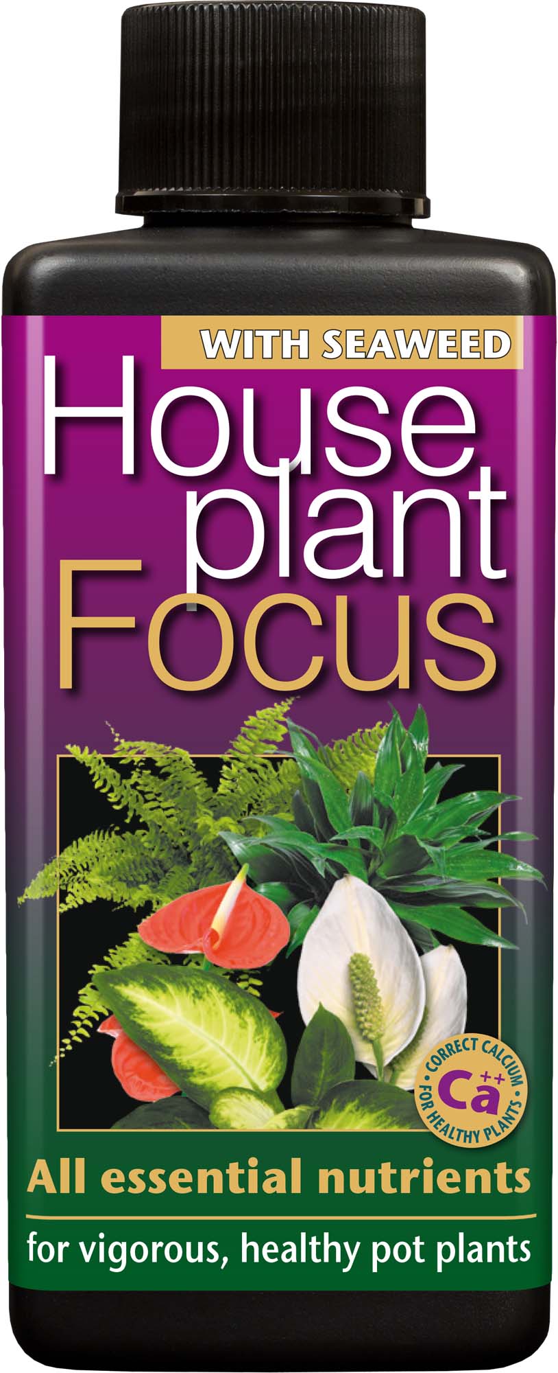 Houseplant Focus 300 ml