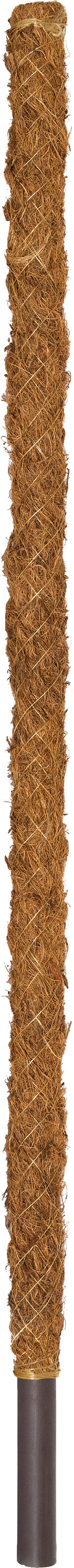 Better Grow Coir Pole 70cm