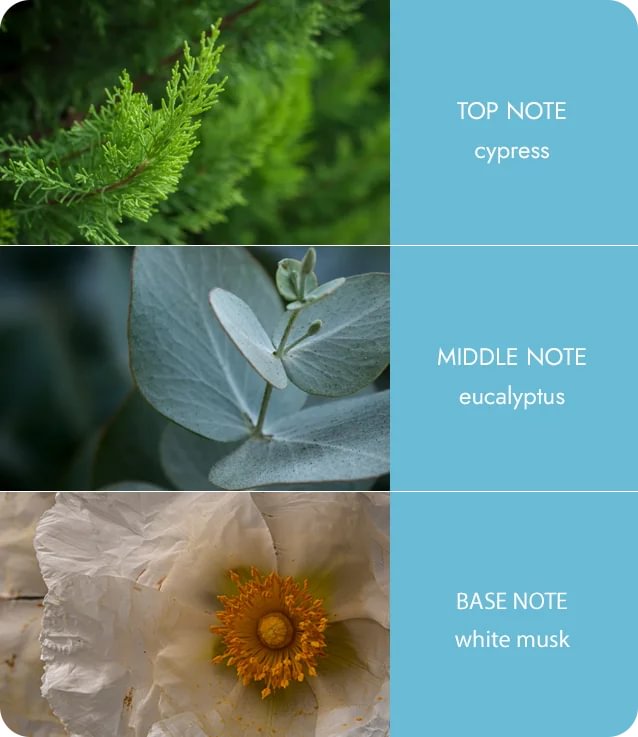 Fragrance Diffuser Tranquility
