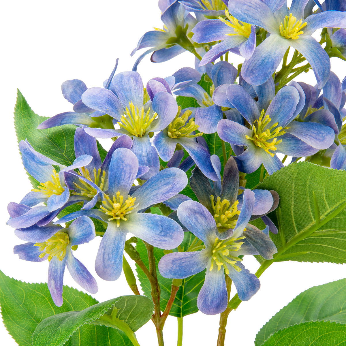 Eleganza Vernicia Flower Spray Lavender/Blue