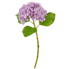 Eleganza Small Head Hydrangea Pastel Lilac