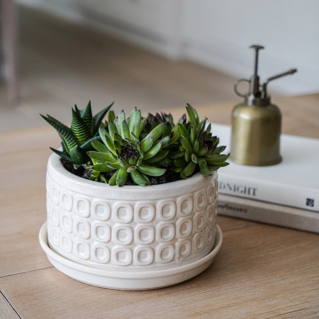 Bonsai Planter Cream