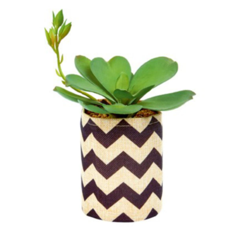 Artificial Succulent